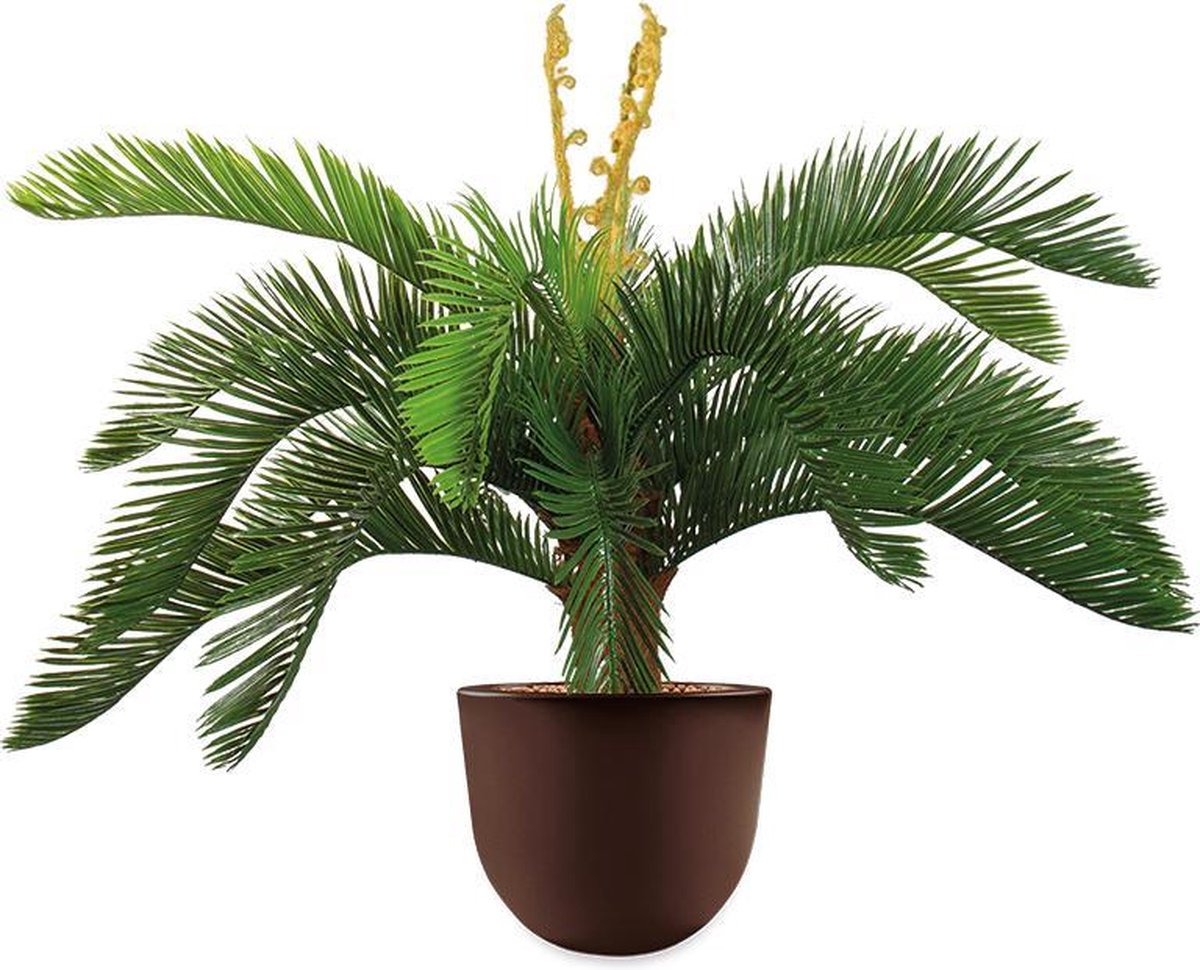 HTT - Kunstplant Cycas in Eggy bruin H70 cm