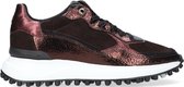 Floris Van Bommel 85343 Lage sneakers - Leren Sneaker - Dames - Bruin - Maat 40