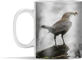 Mok - Waterspreeuw met voedsel bij opspattend water - 350 ml - Beker