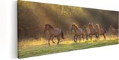 Artaza Canvas Schilderij Kudde Bruine Paarden In De Wei - 120x40 - Groot - Foto Op Canvas - Canvas Print