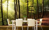 Dimex Forest Vlies Fotobehang 375x250cm 5-banen