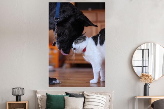 Poster 120x180 cm - Kat - Hond - Dieren - Posters - Kamer decoratie - Wanddecoratie woonkamer - Muurdecoratie slaapkamer XXL