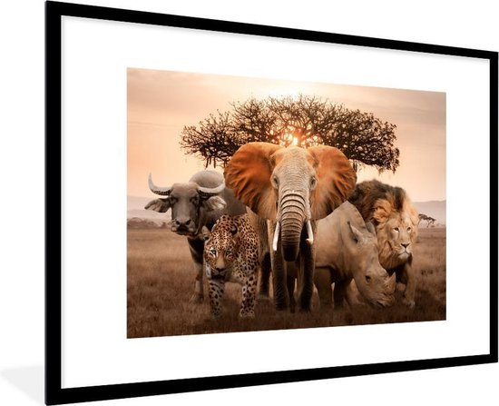Cadre photo avec affiche - Animaux - Éléphant - Lion - 120x80 cm - Cadre  pour affiche