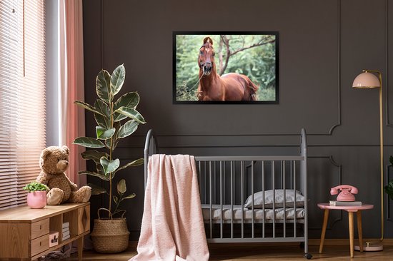 Photo encadrée - Un cheval Kathiawari dans le cadre photo nature boisé noir 90x60 cm - Affiche encadrée (Décoration murale salon / chambre)