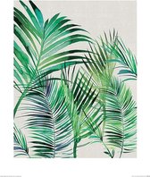 Poster - Summer Thornton Palm Leaves - 50 X 40 Cm - Groen