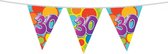 vlaggenlijn multicolor 30 jaar 10 meter