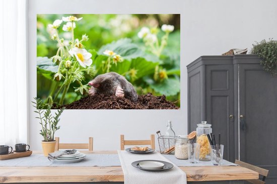 Papier d'affiche de taupe dans un jardin