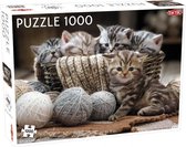 legpuzzel Cute Kittens 1000 stukken 48 x 68 cm karton