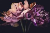 120 x 80 cm - glasschilderij - Bloem in het donker - schilderij fotokunst - verwerkt met goudfolie