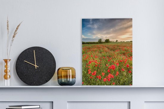 Peintures sur toile Coquelicots - Nuages - Herbe - 30x40 cm - Décoration murale