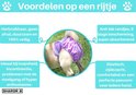 Voordelen van het loopsheidbroekje: herbruikbaar, duurzaam, anti-lek, absorberend, elastisch en comfortabel.
