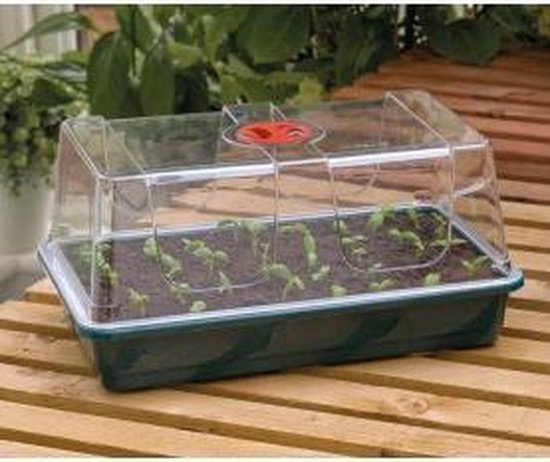 Foto: Garland l propagator 38x23x18cm