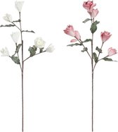 Boeketten DKD Home Decor Wit Roze EVA (Ethyleenvinylacetaat) (2 pcs)