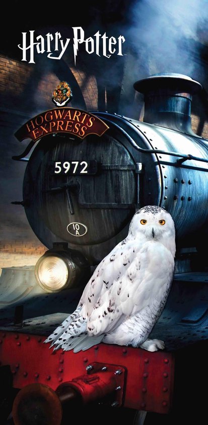 Harry Potter Strandlaken Hedwig - 70 x 140 cm - Katoen