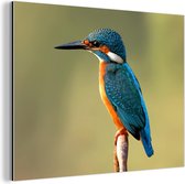 Wanddecoratie Metaal - Aluminium Schilderij Industrieel - IJsvogel - Tak - Dieren - 80x60 cm - Dibond - Foto op aluminium - Industriële muurdecoratie - Voor de woonkamer/slaapkamer