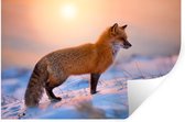 Stickers Stickers muraux - Renard - Neige - Soleil - 60x40 cm - Film adhésif