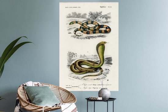 Stickers muraux - Film autocollant - Serpent - Vintage - Reptiles - 60x90 cm - Film adhésif - Stickers muraux Chambre d'enfant - Papier peint autocollant