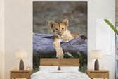 Papier peint - Papier peint photo Lionceau - Animal - Nature - Largeur 160 cm x hauteur 240 cm