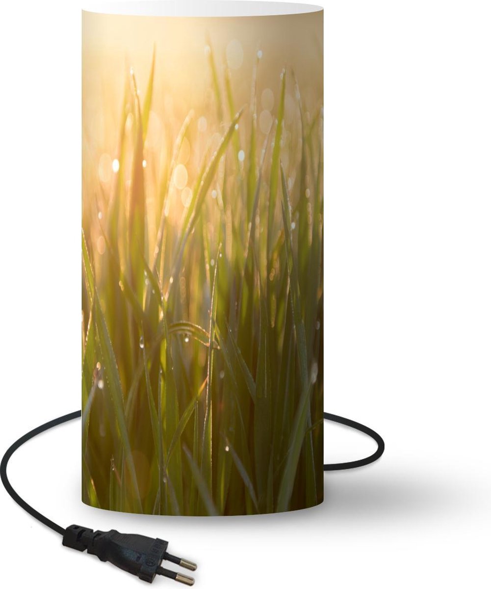 Lamp - Nachtlampje - Tafellamp slaapkamer - Vroege dauw op grasbladen bij zonsopgang - 54 cm hoog - Ø24.8 cm - Inclusief LED lamp