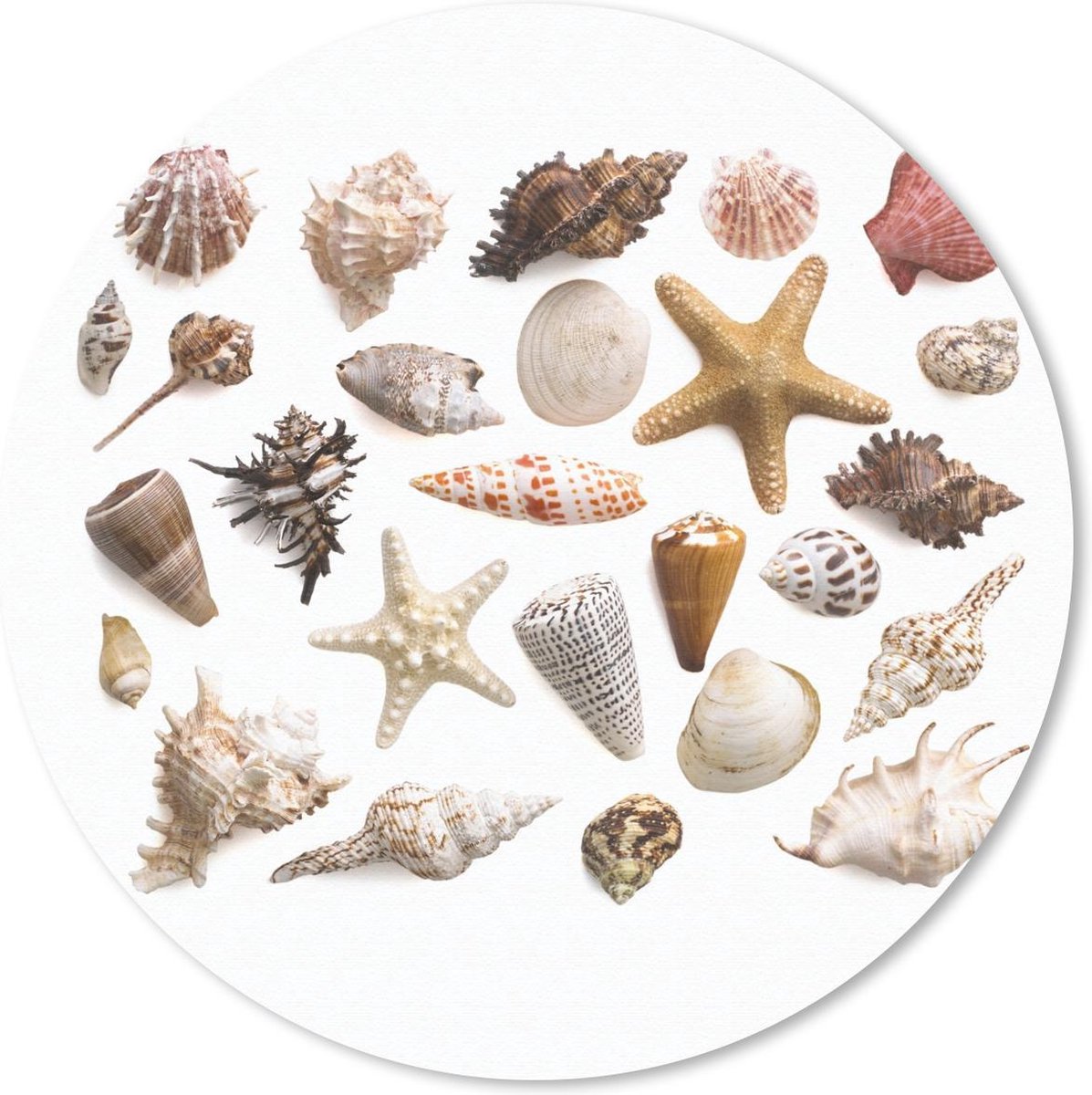 Muismat rond 50x50 cm - Mousepad Schelpen - Strand - Kleur - Collage - Ronde muismatten