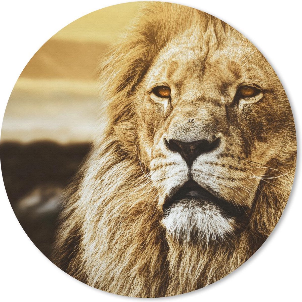 Muismat rond 50x50 cm - Mousepad Leeuwen - Profiel - Zonsondergang - Ronde muismatten