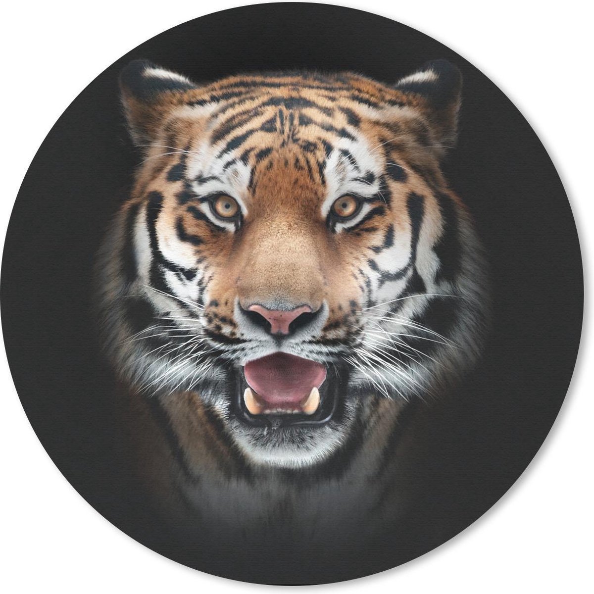 Muismat rond 50x50 cm - Mousepad Tijger - Portret - Dier - Ronde muismatten