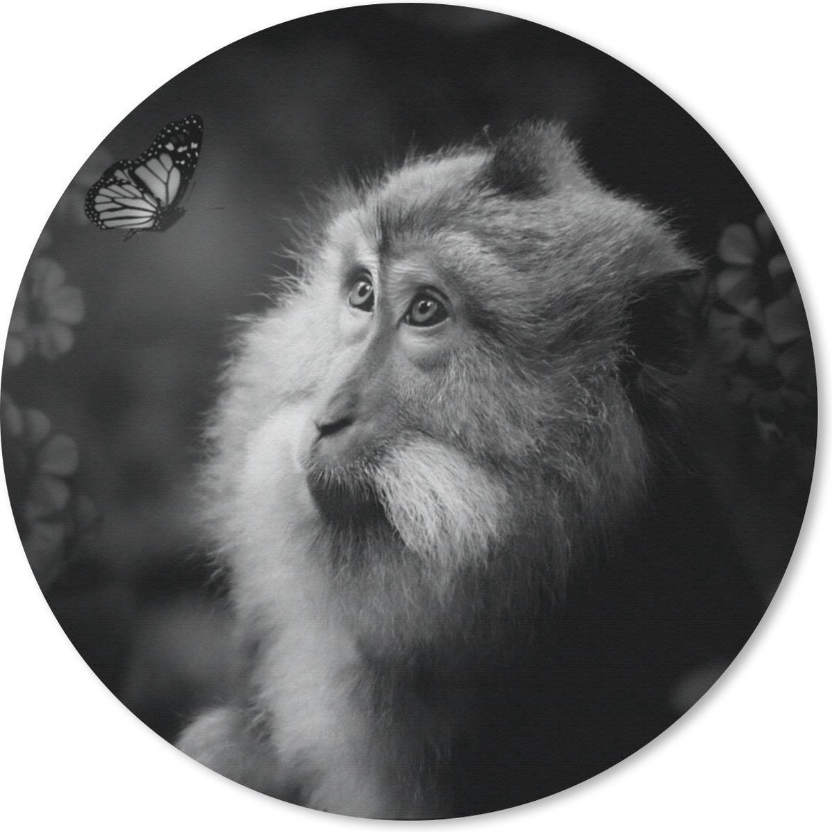 Muismat rond 40x40 cm - Mousepad Vlinder - Dieren - Aap - Zwart - Wit - Ronde muismatten