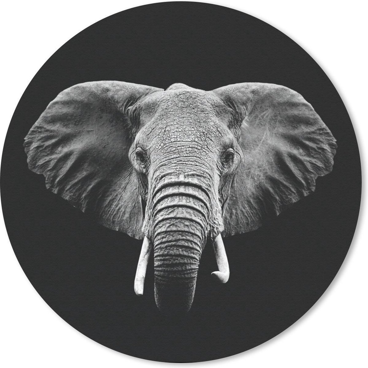 Muismat rond 40x40 cm - Mousepad Olifant - Dieren - Zwart - Wit - Ronde muismatten