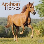 Arabians - Araber - Araber Pferde 2022 - 18-Monatskalender