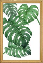 JUNIQE - Poster met houten lijst Tropical No.2 -30x45 /Groen & Wit