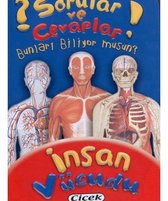 Sorular ve Cevaplar   İnsan Vücudu