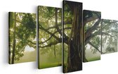 Artaza - Pentaptyque de peinture sur toile - Grand arbre de vie avec de nombreuses branches - 100x50 - Photo sur toile - Impression sur toile