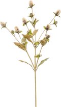 Kunstbloem Gomphrena 68 cm beige