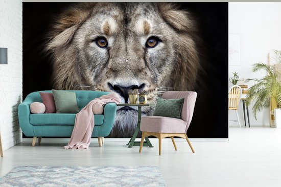 Papier peint - Papier peint photo Lion - Portrait - Sauvage - Largeur 420 cm x hauteur 280 cm