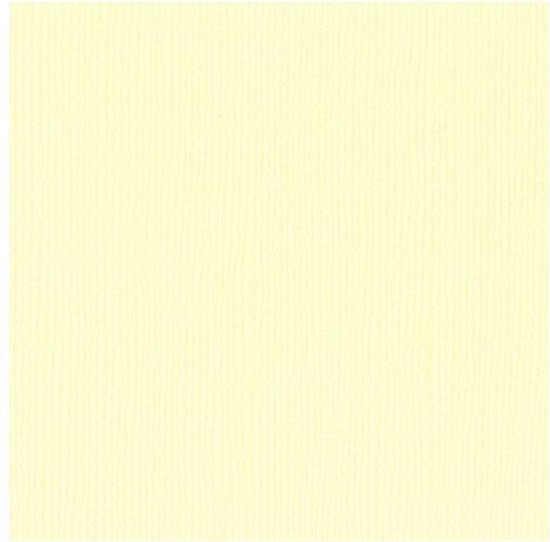 Papier cartonné texturé Cardstock 30,5 x 30,5 cm Bazzill Basics Paper Papier cartonné texturé Cardstock 30,5 x 30,5 cm Bazzill Basics Paper