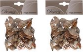 3x zakjes puntige decoratie schelpen Strombus Urceum 3 cm - Natuurlijke schelpjes in zakje - Maritiem/strand thema woondecoratie