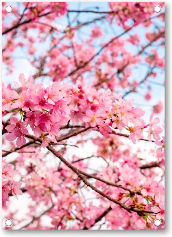 Roze Bloesem met een Blauwe Lucht - Tuinposter 50x70 - Wanddecoratie - Besteposter - Landschap - Natuur - Bloemen
