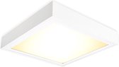 Bisolux Opbouw Master Paneel - 30x30 cm LED paneel - Wit - Niet dimbaar