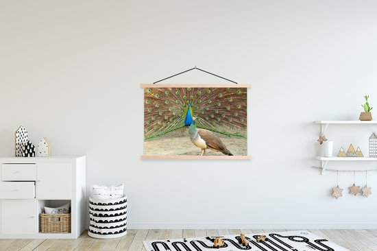 Affiche textielposter paon vert mâle montre des plumes à paon femelle 120x80 cm