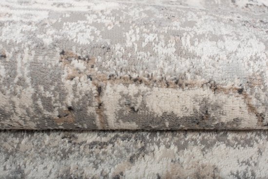 Tapiso Valley Tapis Salon Chambre Gris Clair Cadre Design Moderne Fleurs Durable Vintage Haute Qualité Tapis Taille - 200x300