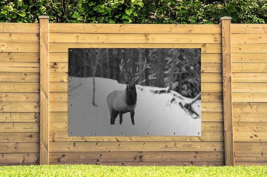 Décoration murale Cerf dans la neige - noir et blanc - 180x120 cm - Poster jardin - Toile jardin - Poster extérieur