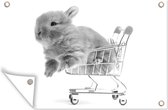 Tuinposter - Tuindoek - Tuinposters buiten - Baby konijn in een winkelwagen - zwart wit - 120x80 cm - Tuin