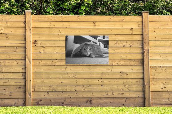 Posters de jardin extérieur Chat caché - noir et blanc - 90x60 cm - Toile de jardin - Affiche extérieure