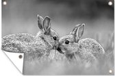 Tuinposter - Tuindoek - Tuinposters buiten - Twee konijnen met de snuit tegen elkaar aan - zwart wit - 120x80 cm - Tuin