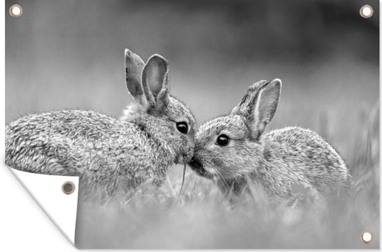 Twee konijnen met de snuit tegen elkaar aan - zwart wit - Tuindoek