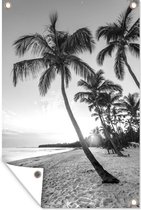 Muurdecoratie Zonsondergang op een tropisch strand - zwart wit - 120x180 cm - Tuinposter - Tuindoek - Buitenposter