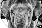 Tuinposter - Tuindoek - Tuinposters buiten - Close-up portret van een olifant - zwart wit - 120x80 cm - Tuin