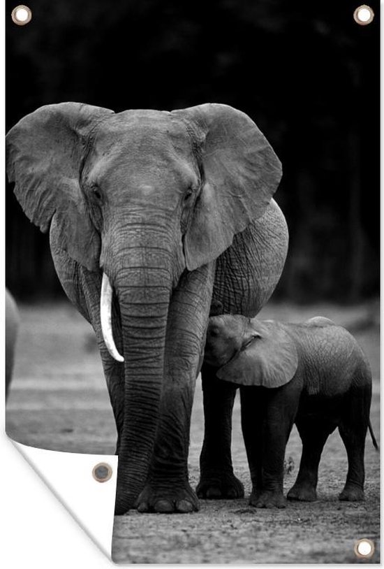 eSplanade Marmeren moeder olifant met kalf - set van 2 - sculptuur of pronkstuk Feng Shui Vastu - woondecoratie - meerkleurig eSplanade Marmeren moeder olifant met kalf - set van 2 - sculptuur of pronkstuk Feng Shui Vastu - woondecoratie - meerkleurig