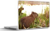 Laptop sticker - 12.3 inch - Een Capibara tussen het hoge riet - 30x22cm - Laptopstickers - Laptop skin - Cover