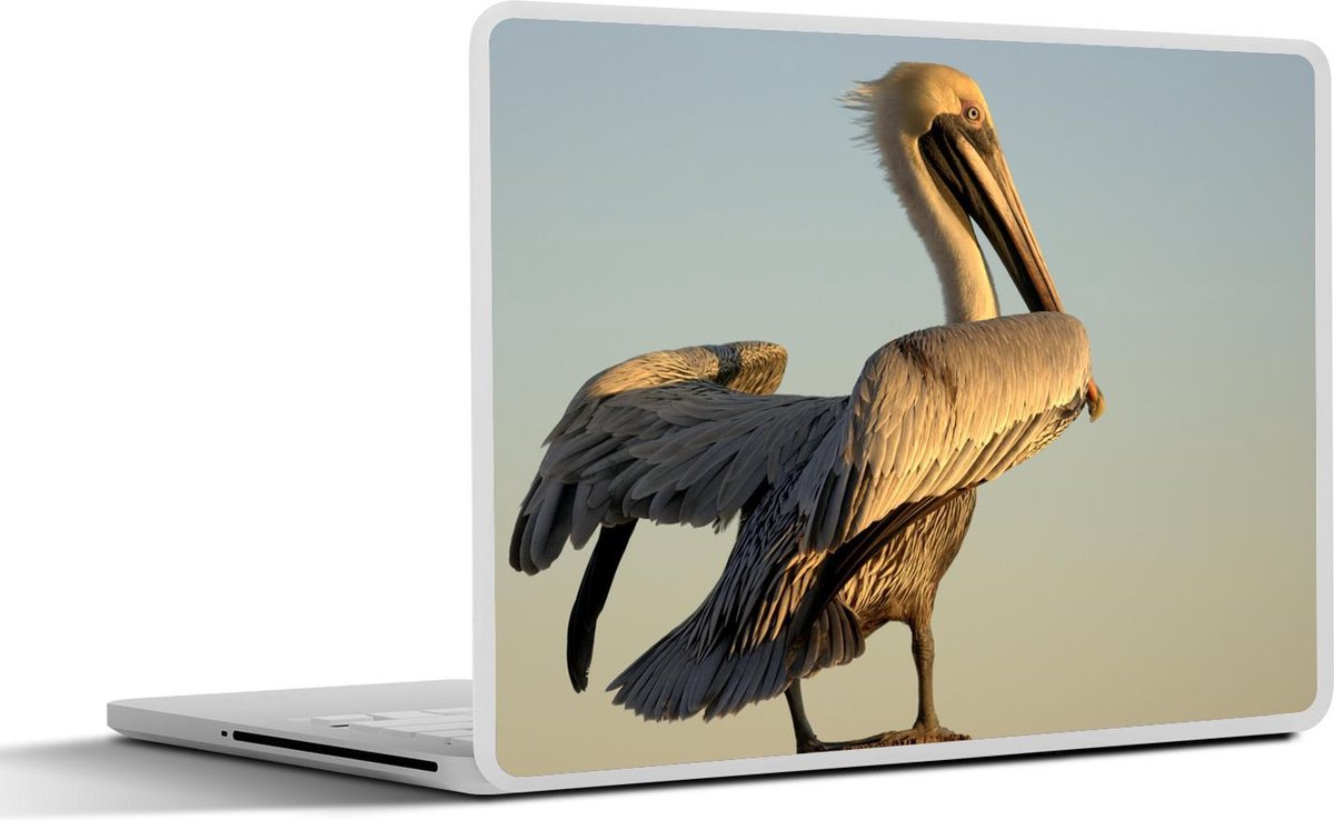 Afbeelding van product SleevesAndCases  Laptop sticker - 15.6 inch - Een bruine pelikaan bij zonsondergang